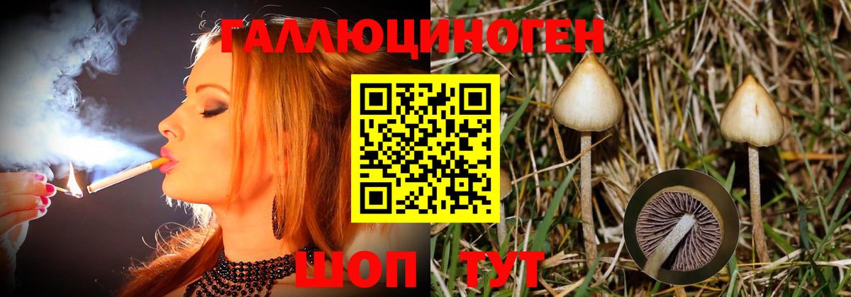 Псилоцибиновые грибы прущие грибы  Вход с VPN  Реж  Галлюциногенные грибы MAGIC MUSHROOMS 